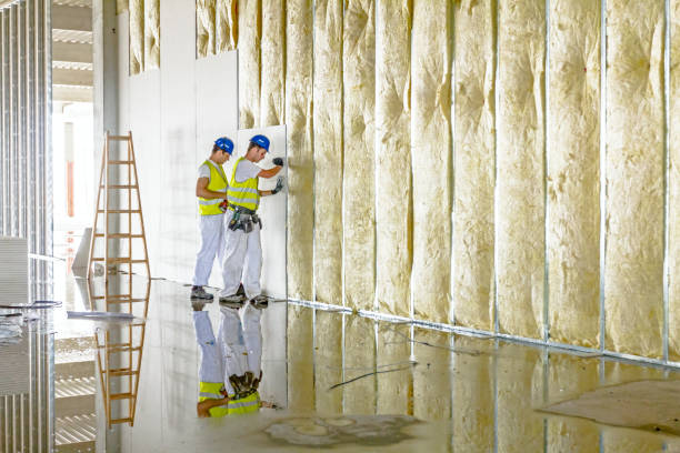 Best Insulation Installation Services in Casselton, ND